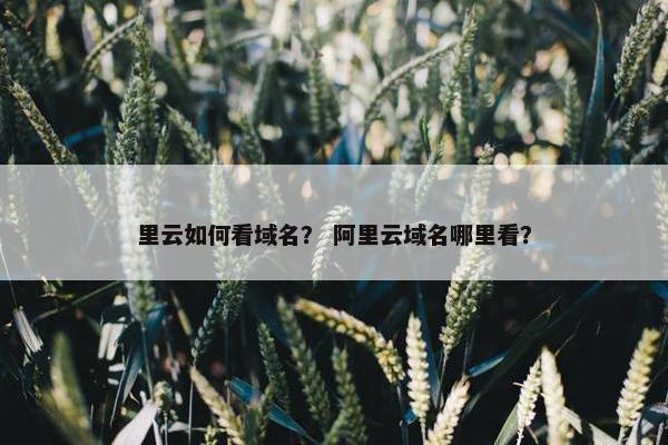 里云如何看域名？ 阿里云域名哪里看？