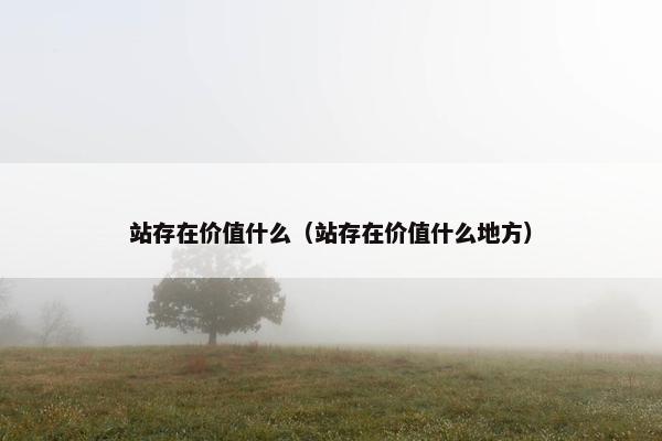 站存在价值什么（站存在价值什么地方）