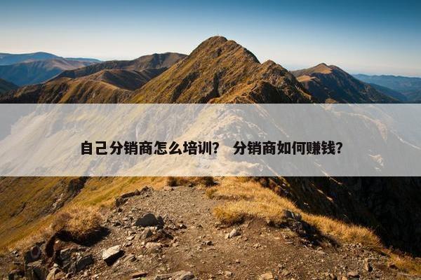 自己分销商怎么培训？ 分销商如何赚钱？