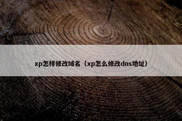 xp怎样修改域名（xp怎么修改dns地址）