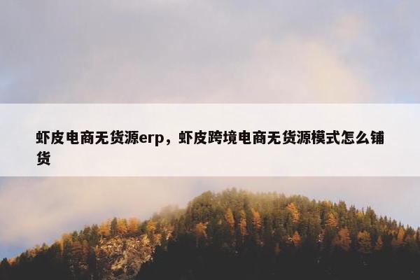 虾皮电商无货源erp，虾皮跨境电商无货源模式怎么铺货