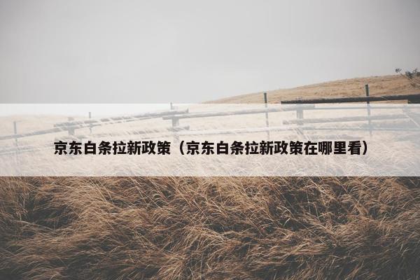 京东白条拉新政策（京东白条拉新政策在哪里看）