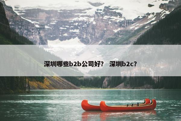 深圳哪些b2b公司好？ 深圳b2c？