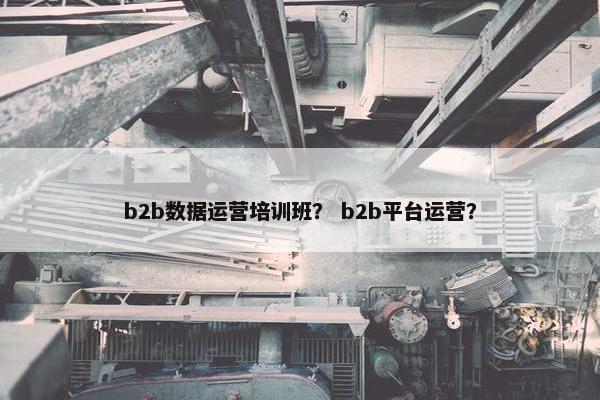 b2b数据运营培训班？ b2b平台运营？