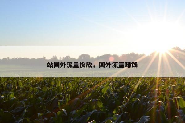 站国外流量投放，国外流量赚钱
