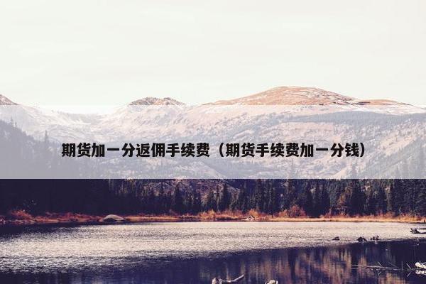 期货加一分返佣手续费（期货手续费加一分钱）