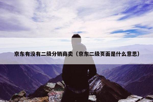 京东有没有二级分销商卖（京东二级页面是什么意思）
