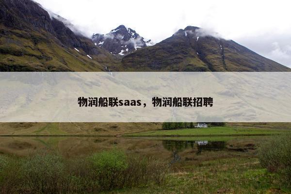 物润船联saas，物润船联招聘
