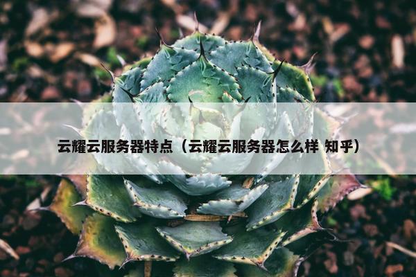 云耀云服务器特点（云耀云服务器怎么样 知乎）