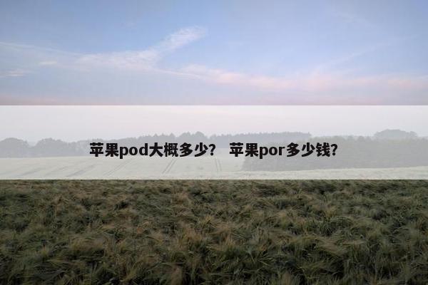 苹果pod大概多少？ 苹果por多少钱？