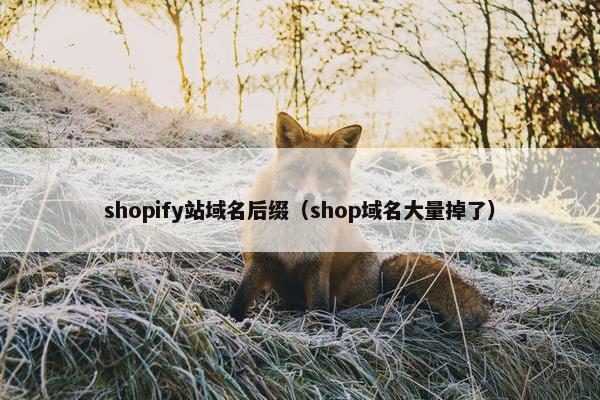 shopify站域名后缀（shop域名大量掉了）