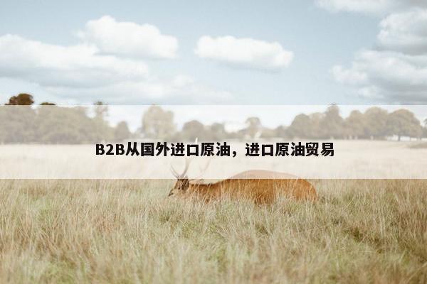 B2B从国外进口原油，进口原油贸易