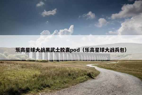 乐高星球大战黑武士胶囊pod（乐高星球大战兵包）