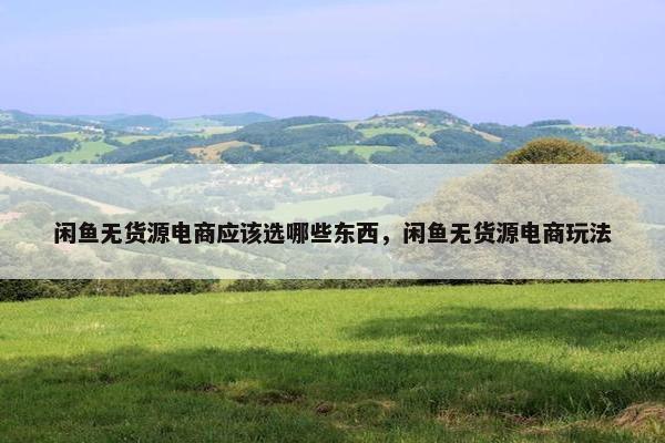 闲鱼无货源电商应该选哪些东西，闲鱼无货源电商玩法