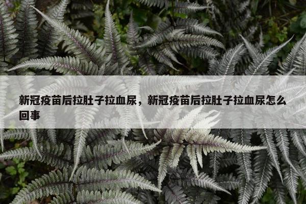 新冠疫苗后拉肚子拉血尿，新冠疫苗后拉肚子拉血尿怎么回事