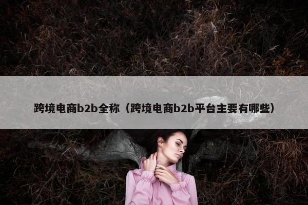 跨境电商b2b全称（跨境电商b2b平台主要有哪些）