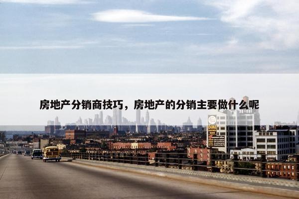 房地产分销商技巧，房地产的分销主要做什么呢