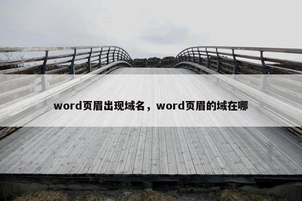 word页眉出现域名，word页眉的域在哪