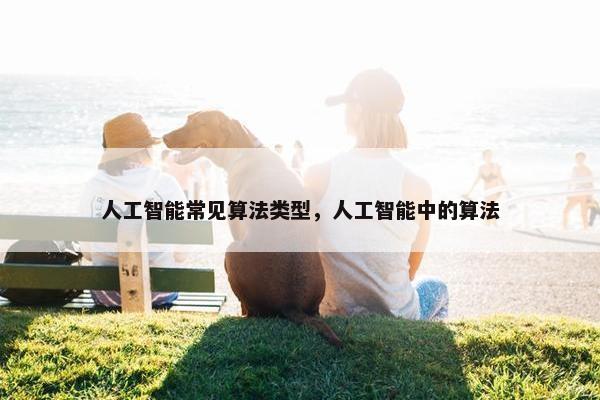 人工智能常见算法类型，人工智能中的算法