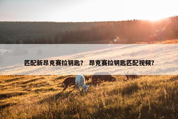 匹配新昂克赛拉钥匙？ 昂克赛拉钥匙匹配视频？