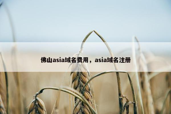 佛山asia域名费用，asia域名注册