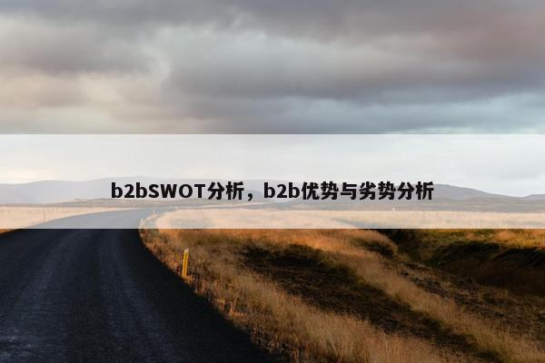 b2bSWOT分析，b2b优势与劣势分析
