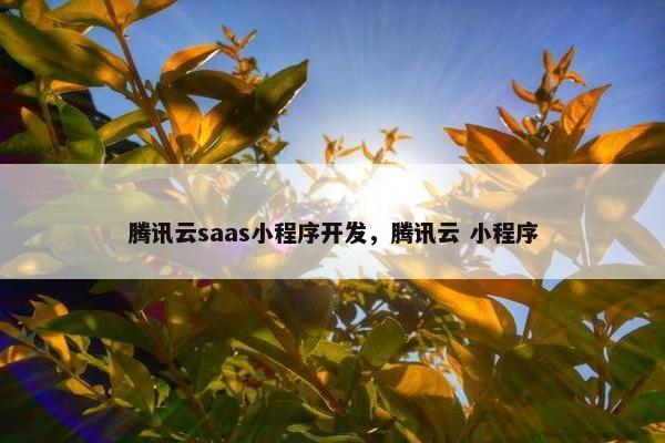 腾讯云saas小程序开发，腾讯云 小程序