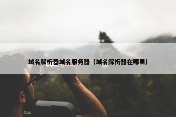 域名解析器域名服务器（域名解析器在哪里）