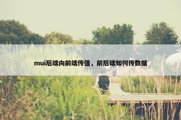 mui后端向前端传值，前后端如何传数据