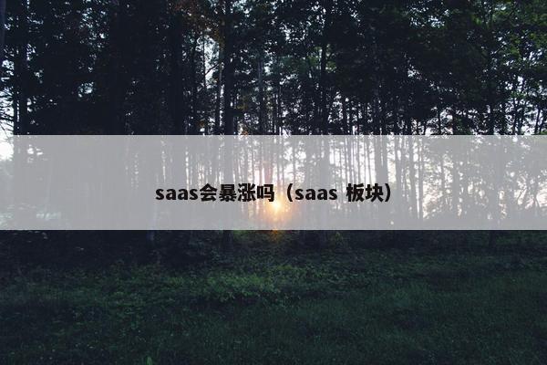 saas会暴涨吗（saas 板块）