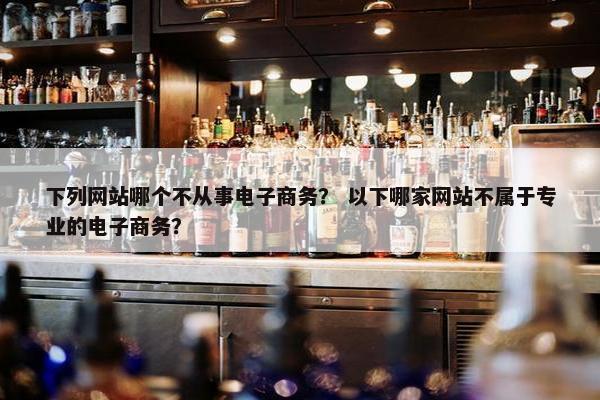 下列网站哪个不从事电子商务？ 以下哪家网站不属于专业的电子商务？