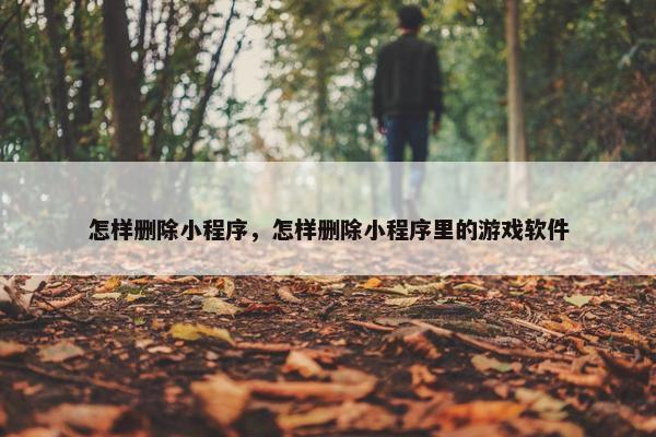 怎样删除小程序，怎样删除小程序里的游戏软件