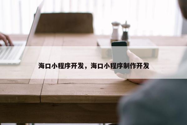 海口小程序开发，海口小程序制作开发
