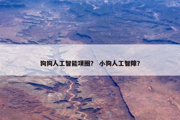 狗狗人工智能项圈？ 小狗人工智障？