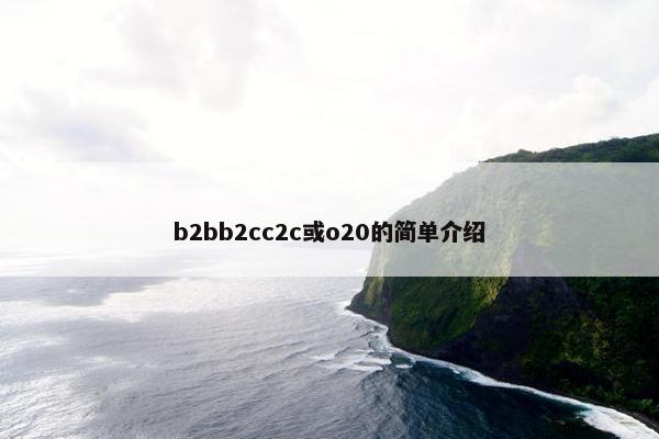b2bb2cc2c或o20的简单介绍