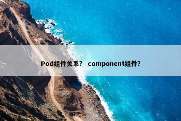 Pod组件关系？ component组件？