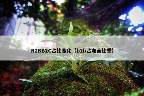 B2BB2C占比变化（b2b占电商比重）