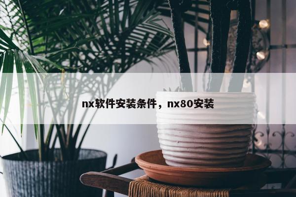 nx软件安装条件，nx80安装