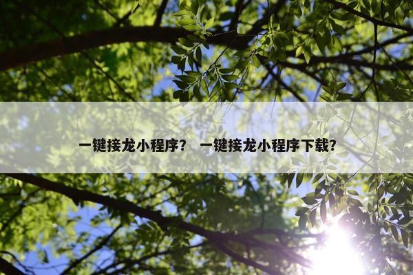 一键接龙小程序？ 一键接龙小程序下载？