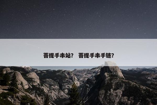 菩提手串站？ 菩提手串手链？