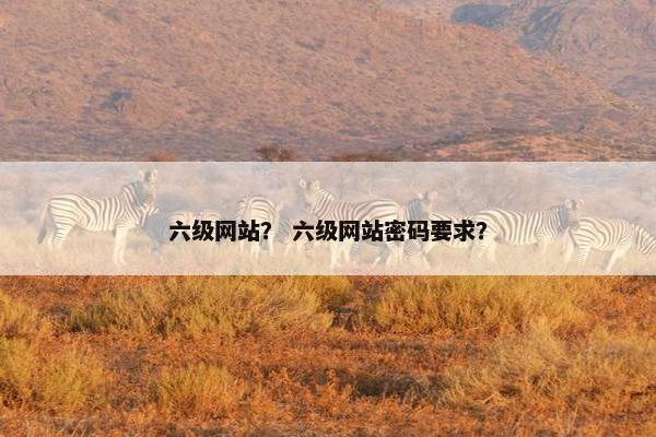 六级网站？ 六级网站密码要求？