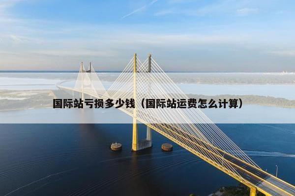 国际站亏损多少钱（国际站运费怎么计算）