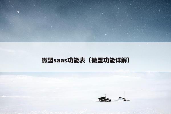 微盟saas功能表（微盟功能详解）