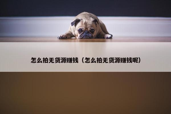 怎么拍无货源赚钱（怎么拍无货源赚钱呢）