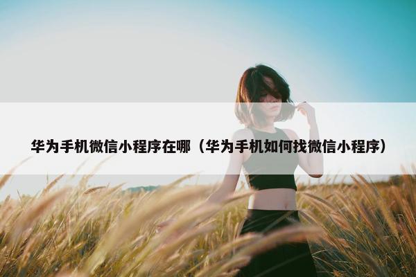华为手机微信小程序在哪（华为手机如何找微信小程序）
