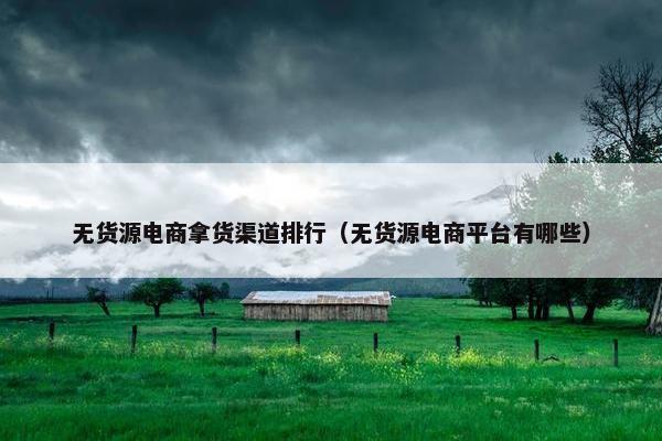 无货源电商拿货渠道排行（无货源电商平台有哪些）