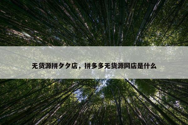 无货源拼夕夕店，拼多多无货源网店是什么