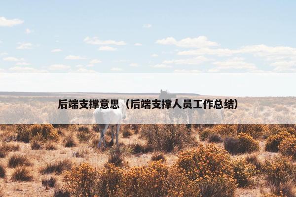 后端支撑意思（后端支撑人员工作总结）