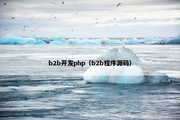 b2b开发php（b2b程序源码）
