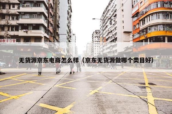 无货源京东电商怎么样（京东无货源做哪个类目好）